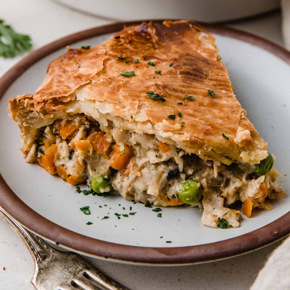 Chicken Pie